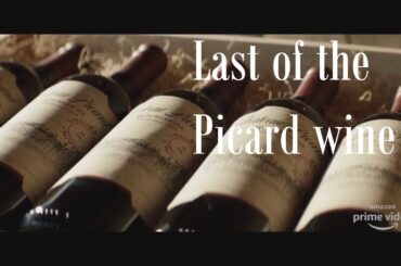 Last of the Picard wine