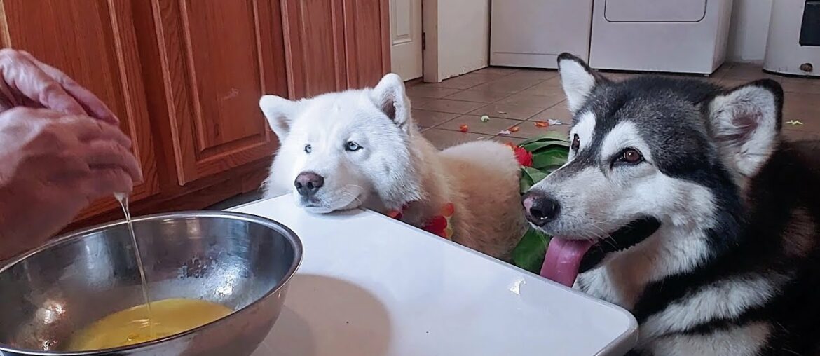 French Toast Breakfast Burritos Cooking With Snow Dogs French Toast Breakfast Burritos Cooking With Snow Dogs