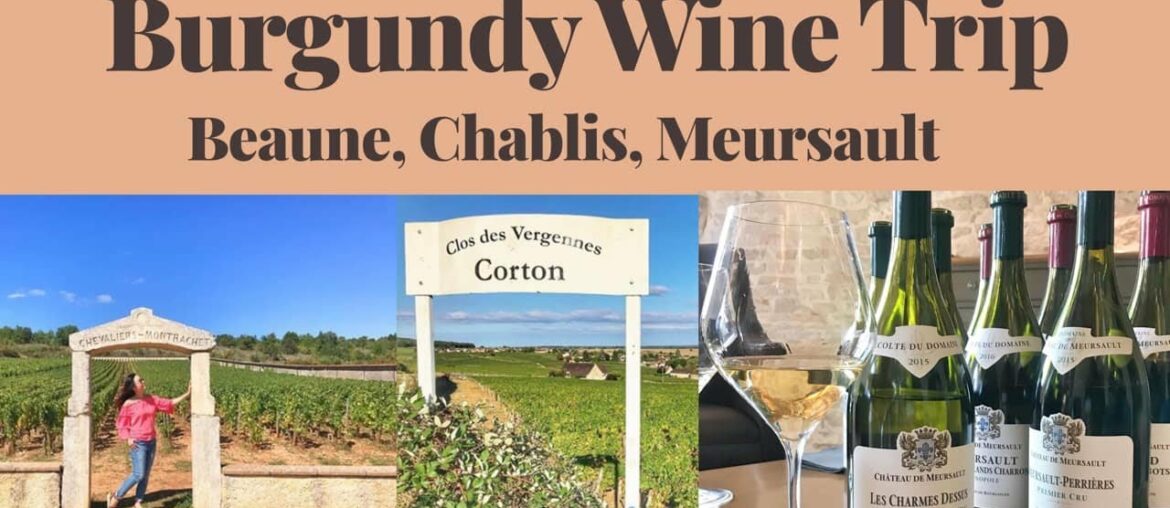Burgundy Wine Trip 2018 - Chablis, Beaune, Meursault