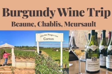 Burgundy Wine Trip 2018 - Chablis, Beaune, Meursault
