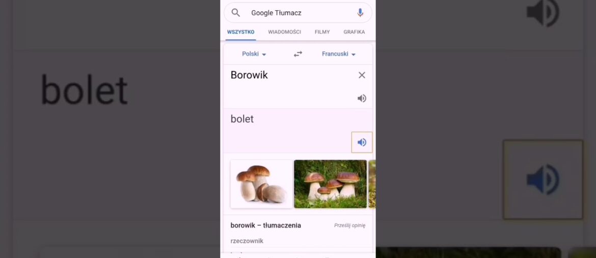 Borowik France meme👌🥖🥐🍄🍷