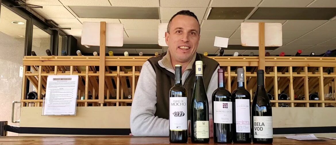 Vinous Reverie - Tasting Aged Wines