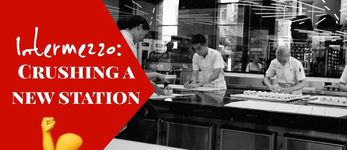 Chef de Partie Advice to Adjust - Patreon Livestream Teaser