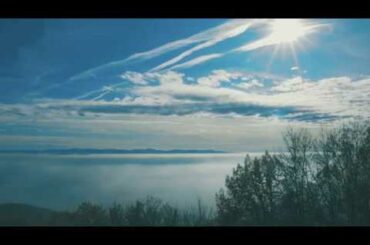 Alsace, France- Nature and travel impressions