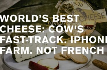 World’s best cheese 2020: Rogue River Blue. iPhone farm!