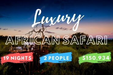 THE $150,934 AFRICAN SAFARI - The best luxury safari in Africa. 19 Nights and 6 Destinations.