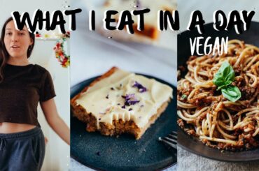 FULL DAY OF EATING: healthy & vegan (no oatmeal!) + back at the gym?