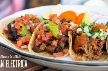 Terroir to Table: Gran Electrica