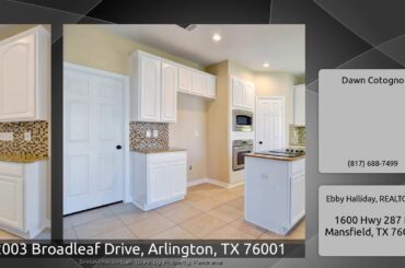 2003 Broadleaf Drive, Arlington, TX 76001