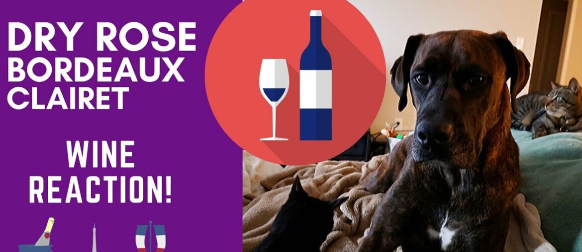 ROSE BORDEAUX CLAIRET WINE REACTION!
