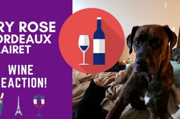 ROSE BORDEAUX CLAIRET WINE REACTION!