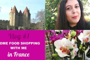 VLOG Behind The Scenes | Come food shopping with me in France! | Vlog No.1
