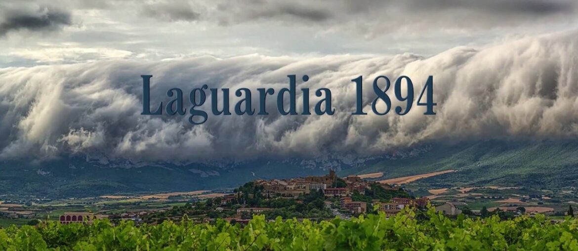 GRUPO BODEGAS PALACIO 1894. More than 125 years crafting high-quality wines in Spain. GRUPO BODEGAS PALACIO 1894. More than 125 years crafting high-quality wines in Spain.