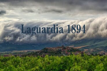 GRUPO BODEGAS PALACIO 1894. More than 125 years crafting high-quality wines in Spain.