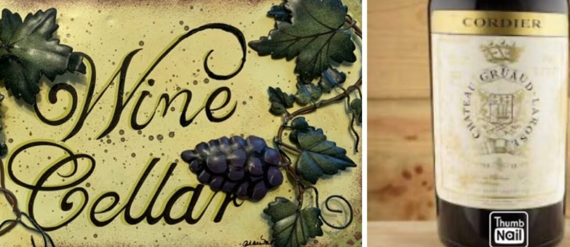 Guy chugs a $1200 bottle of wine in 20 seconds Guy chugs a $1200 bottle of wine in 20 seconds