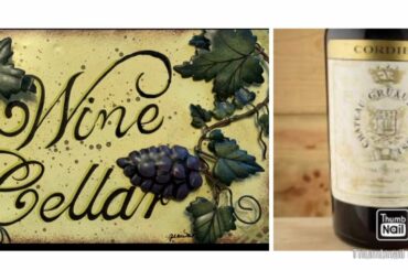 Guy chugs a $1200 bottle of wine in 20 seconds