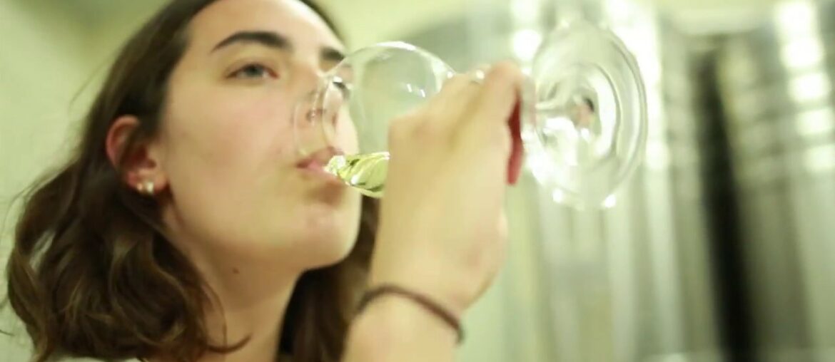 BON VOYAGE A NICE TRIP TO THE FRENCH WINE COUNTRY