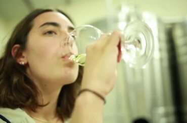 BON VOYAGE A NICE TRIP TO THE FRENCH WINE COUNTRY