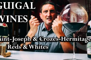 Guigal's Great Rhône Wines - Crozes Hermitage & Saint-Joseph Wines