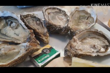 Bordeaux, France Oyster Bar in Les Halle de Bacalan infront of La Citè du Vin Museum