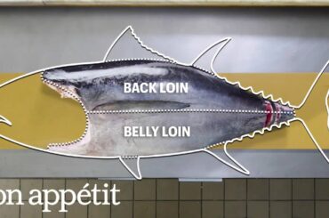 How To Butcher a Whole Tuna: Every Cut of Fish Explained | Handcrafted | Bon Appétit