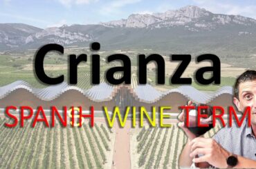 What is Crianza Wine? How to Say It? | WTF is... Episode #7