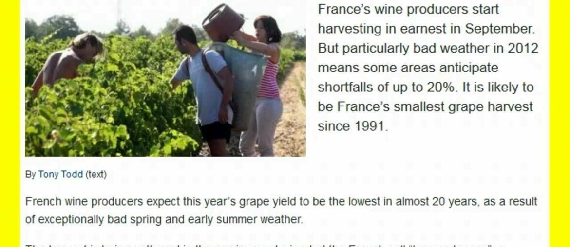 FRENCH WINE CROP 20% LESS HARVEST=PRICE OF WINE WILL RISE! OMG!! FRENCH WINE CROP 20% LESS HARVEST=PRICE OF WINE WILL RISE! OMG!!
