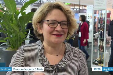 Vinexpo et Wine Paris: l'union fait la force
