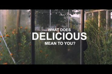 CREATING DELICIOUS JOURNEYS @Le Suquet, France