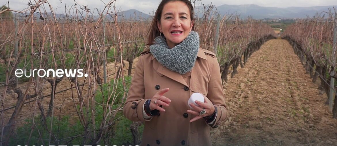 Smart Regions: turning grape into cosmetics (ENI CBC Mediterranean Sea Basin) – teaser Smart Regions: turning grape into cosmetics (ENI CBC Mediterranean Sea Basin) - teaser