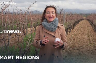 Smart Regions: turning grape into cosmetics (ENI CBC Mediterranean Sea Basin) - teaser