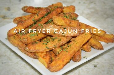 The Best Air Fryer French Fries I Have Made - Air Fryer Recipes