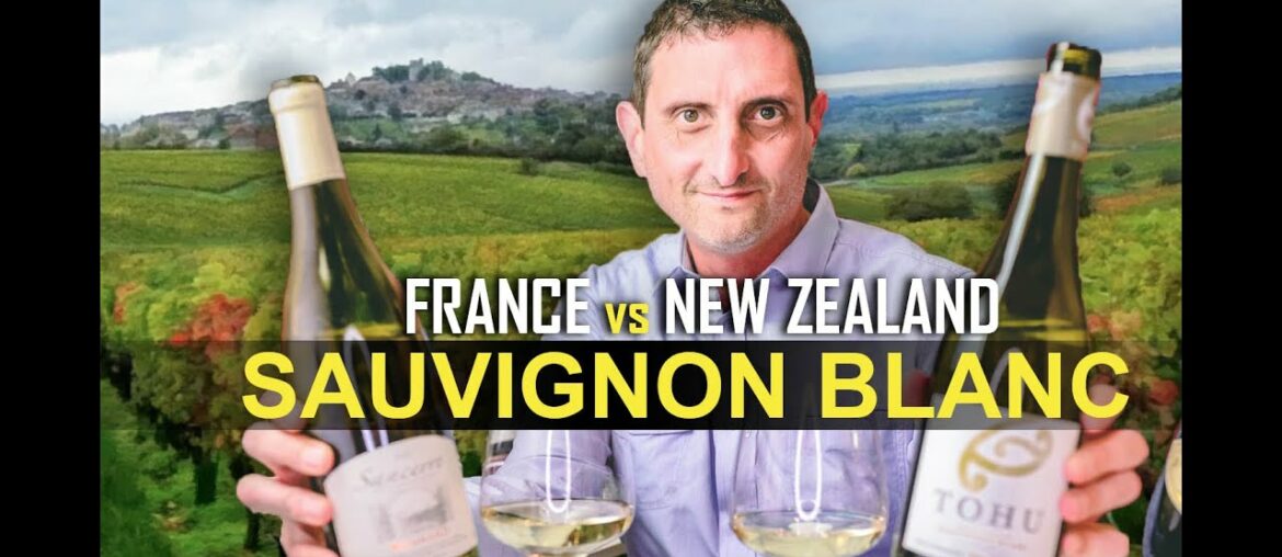 France vs New Zealand Sauvignon Blanc Wine France vs New Zealand Sauvignon Blanc Wine