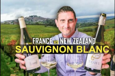 France vs New Zealand Sauvignon Blanc Wine