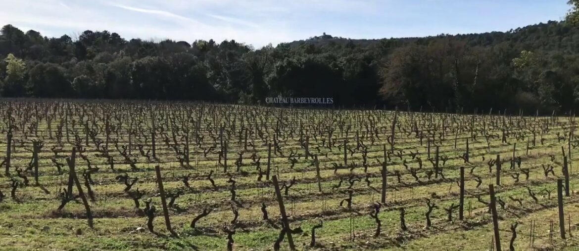WINE TASTING IN CHATEAU BARBEYROLLES