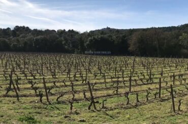 WINE TASTING IN CHATEAU BARBEYROLLES