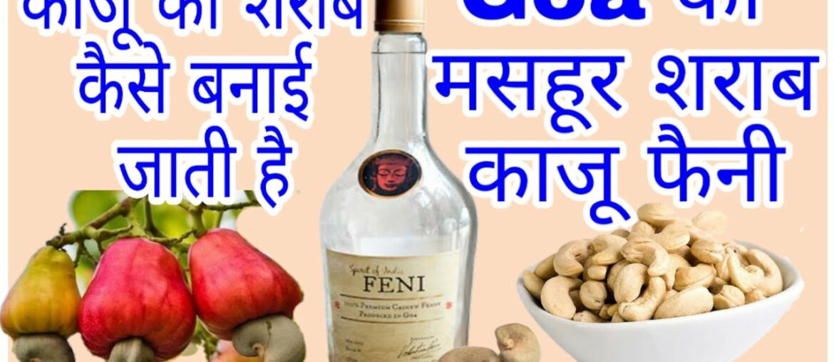 Famous Shrab of Goa Cashew Feni. Wine & food recipes