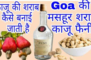 Famous Shrab of Goa Cashew Feni. Wine & food recipes