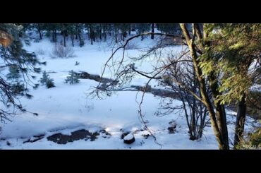 709 OVERLOOK WAY,  WINTER SPRINGS, FL 32708 - Terri Matthias - MLS O5843653