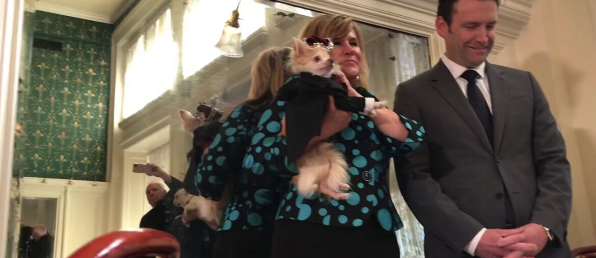 Barkus Royalty officially are introduced during the annual royal luncheon at Galatoire’s