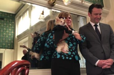 Barkus Royalty officially are introduced during the annual royal luncheon at Galatoire’s