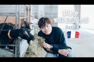 張敬軒 法國波爾多之旅Part1