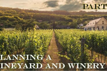 Part 5: Planning a Vineyard and Winery