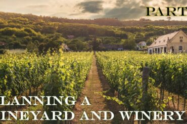 Part 7: Planning a Vineyard and Winery