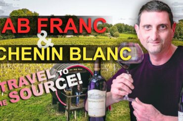 The WINE LOVER's Loire Valley Guide! - Finding the Source of Cabernet Franc & Chenin Blanc! (France)