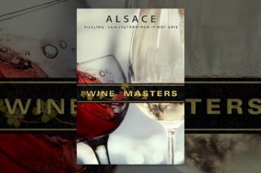 Wine Masters: Alsace