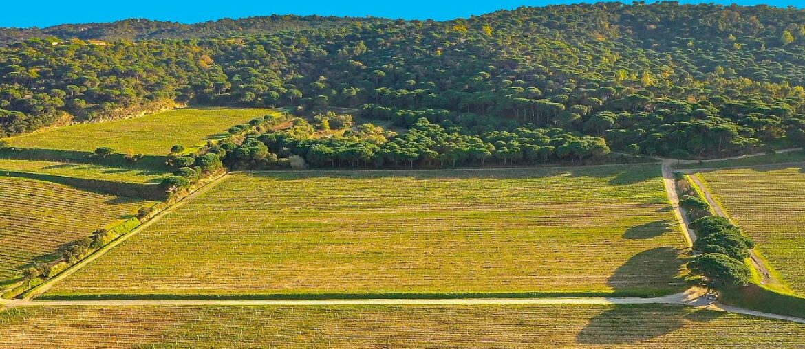 Relaxing Landscape Video – Soft Piano Music | Soothing Relaxation, Meditation, Stress Relief, Enjoy Relaxing Landscape Video - Soft Piano Music | Soothing Relaxation, Meditation, Stress Relief, Enjoy