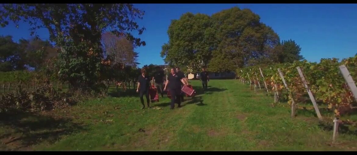 African food and wine visites oenotouristiques