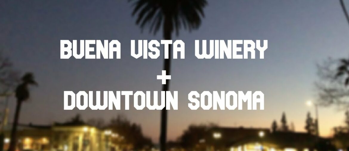 Sonoma County Vlogs: Buena Vista Winery+Downtown Sonoma Sonoma County Vlogs: Buena Vista Winery+Downtown Sonoma