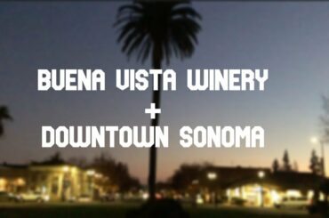 Sonoma County Vlogs: Buena Vista Winery+Downtown Sonoma